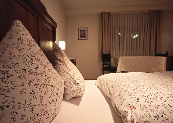 Zum Schwan Bed & Breakfast